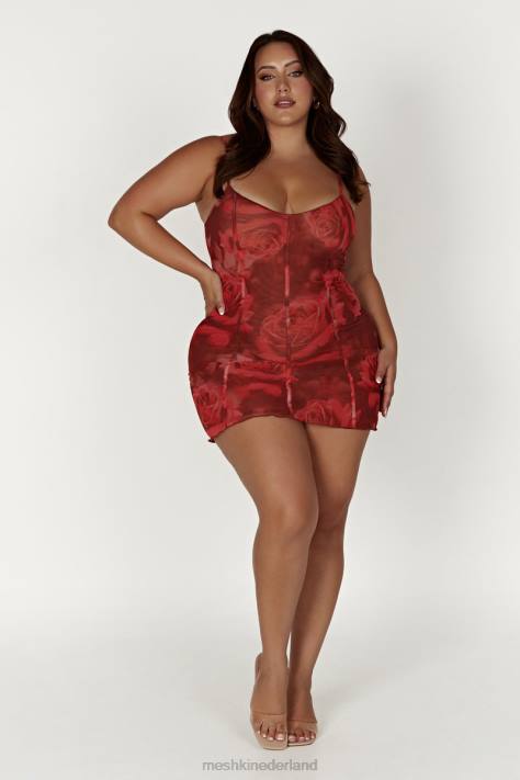 Meshki Esther mini-jurk met mesh panelen kleding extra grote rozenprint XP0T565