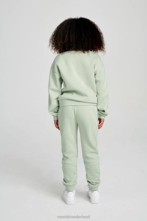 Meshki Phoenix ku trui met ronde hals kleding lichte salie XP0T1499