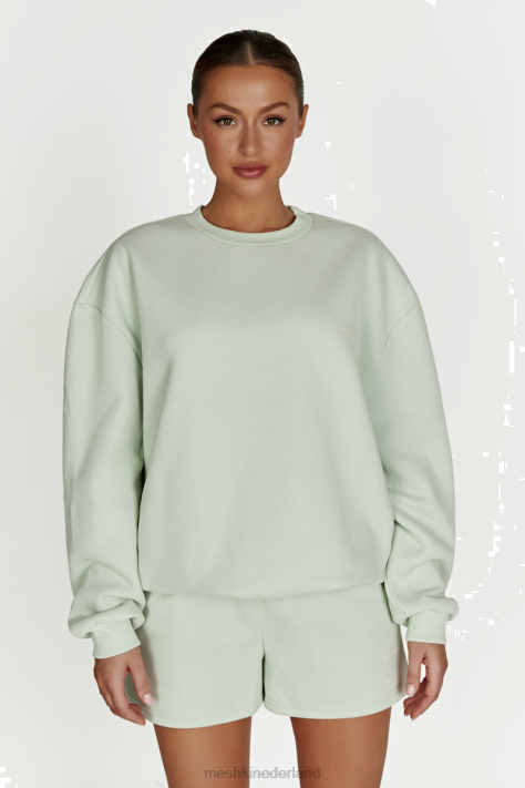 Meshki Phoenix oversized trui met ronde hals kleding lichte salie XP0T932